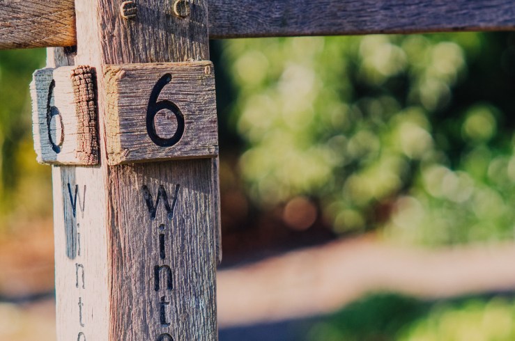 32066865790_2eb841bdae_b