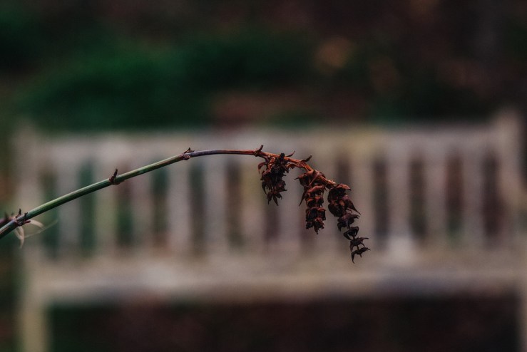 33170455126_97076cde3a_b