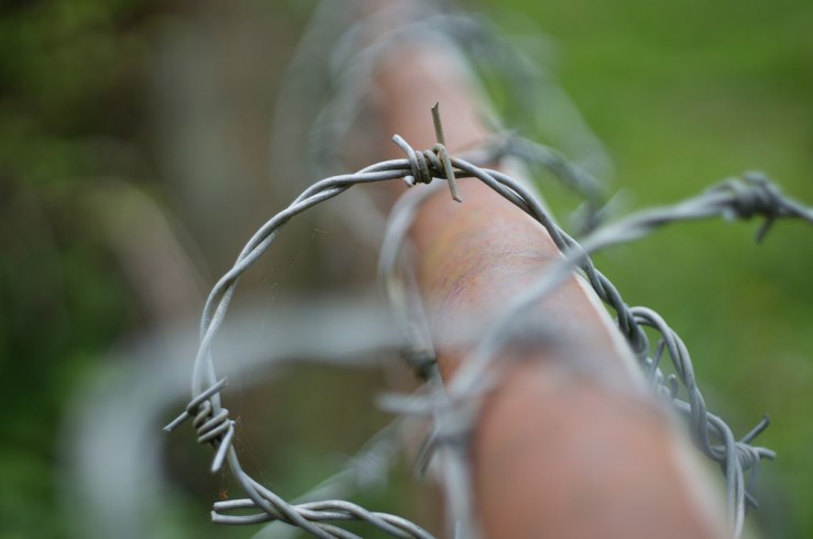 17183215340_8fa56a6c6b_b