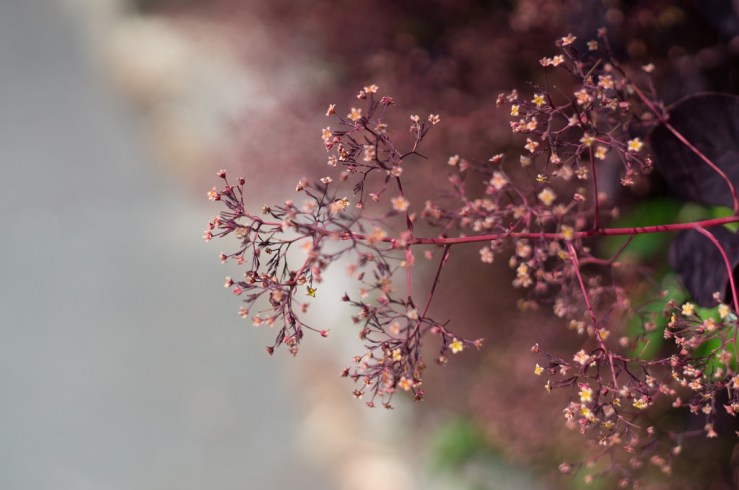 18934240601_535e387089_b