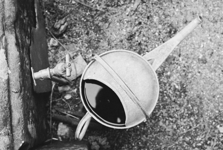 24710991140_d33f8300d8_b