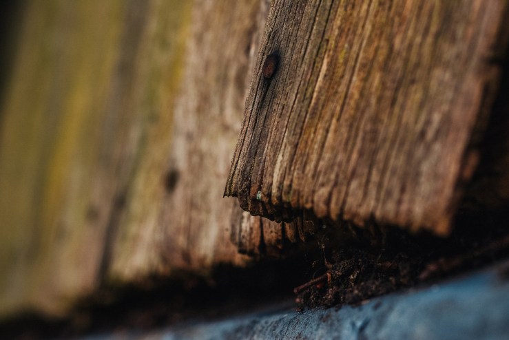 33291268955_47032d8dc6_b