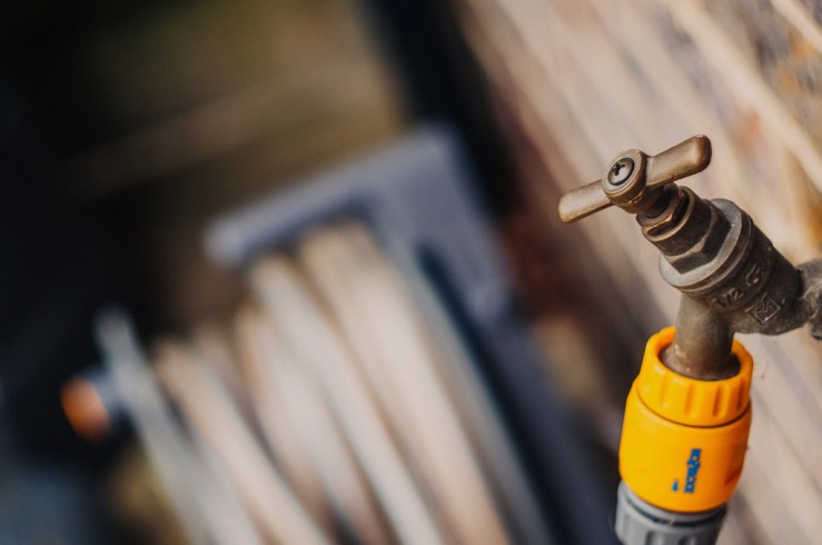 33496946673_43742c72d6_b