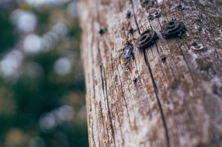 34113605342_81a7720812_b