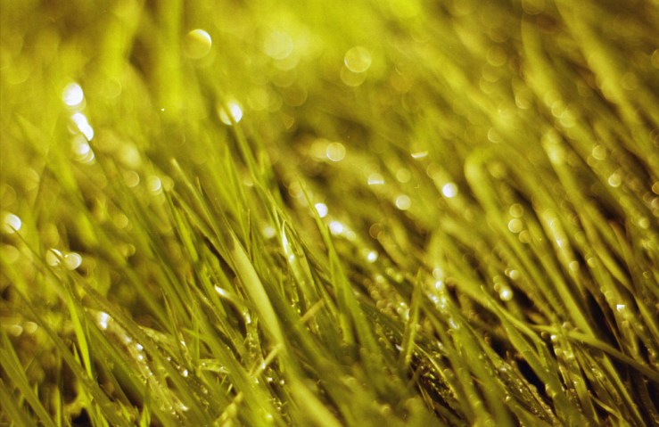 10276212113_9775dca44b_b