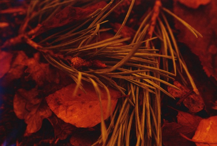 10626938674_7021a7be1d_b