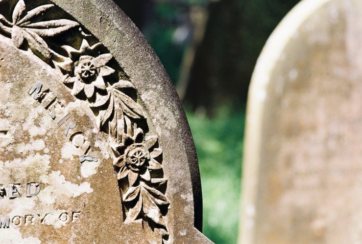 30169061134_0e149f68fe_b