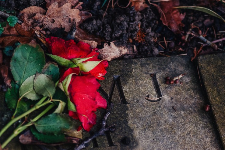 32397142633_185fa540c7_b