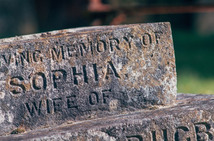 32730642334_96e467635b_b