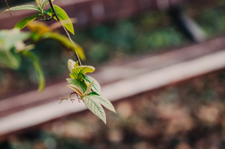 32862846424_f5083ac7e6_b