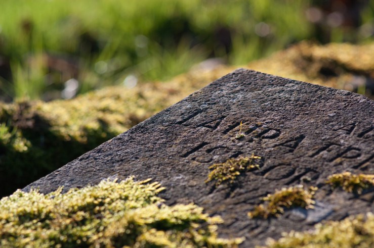 32935845666_c30270c5c2_b