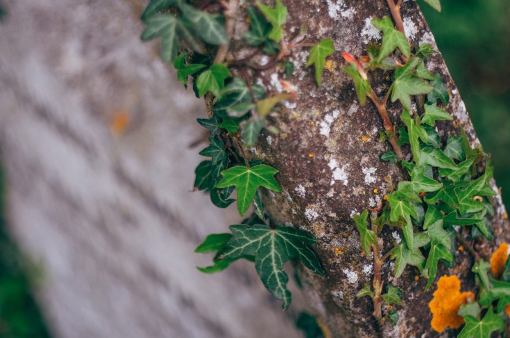 33547885644_4a4c7cb0ba_b