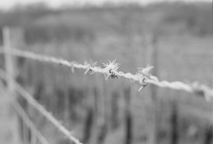 34017586883_f1b1bae9a2_b