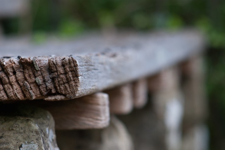 34152060720_a1d6a21947_b