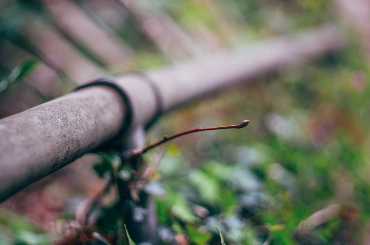 34389960045_6cd56b3b6c_b