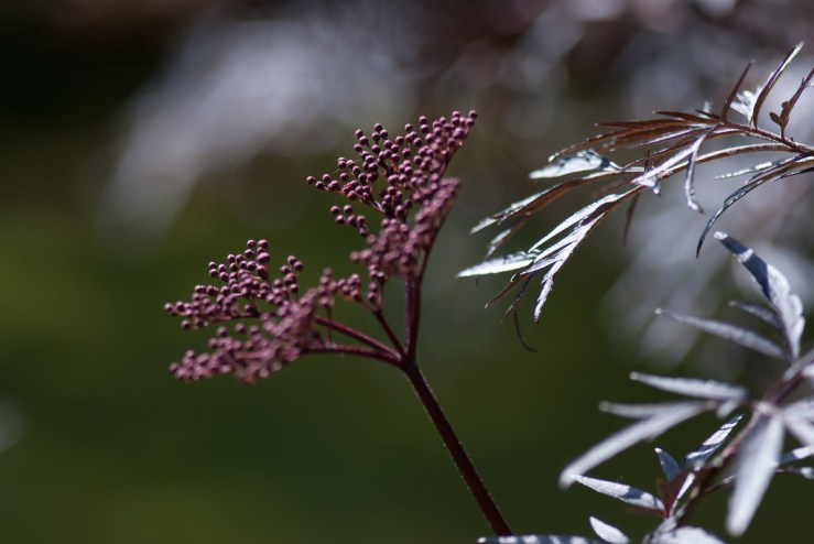 34417018212_62093ee930_b