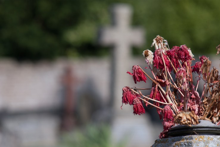 34636523075_b03d304715_b