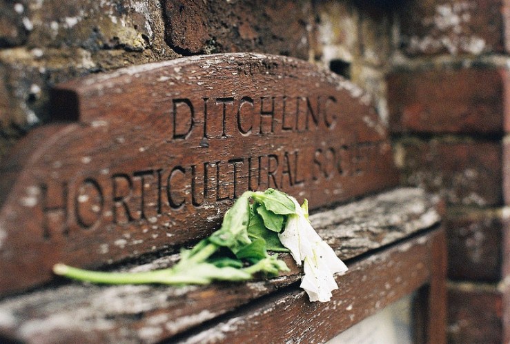 20768515916_9dc908ae52_c