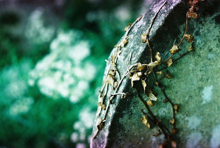 27190185524_1b2b6b6b04_c