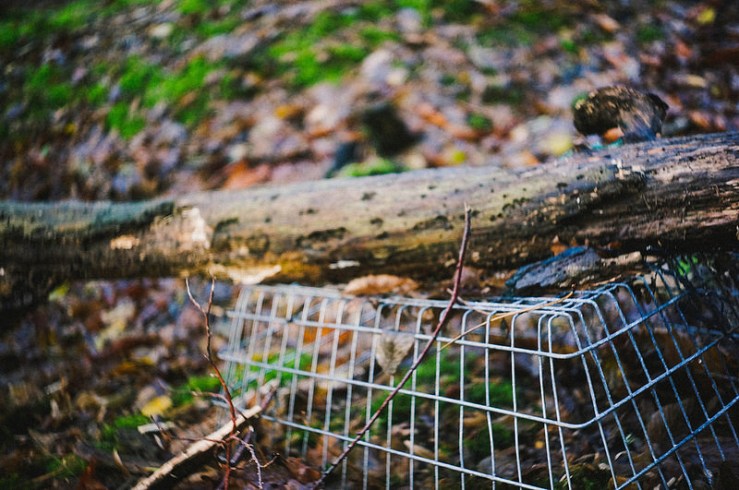 15609546637_d9c764f931_c