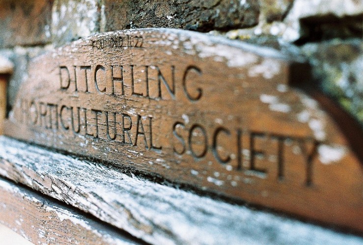 28688993774_102380687b_c