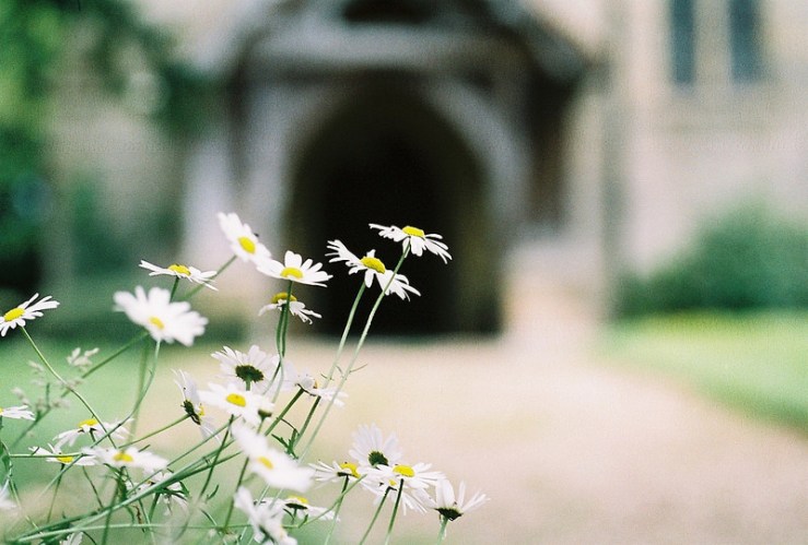 29855198386_59207a42ef_c