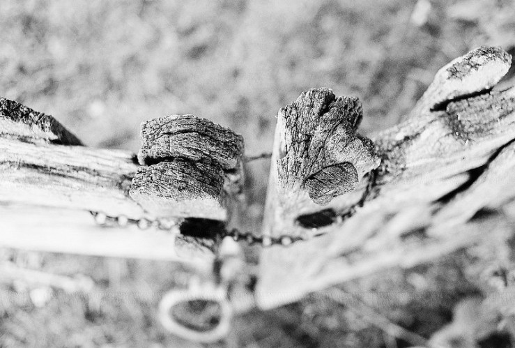 30567355536_6c4bb11b5e_c