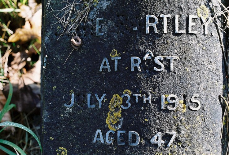 31265868094_b0fd7bb17c_c