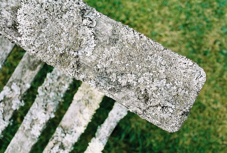 33950915850_28c3a19977_c