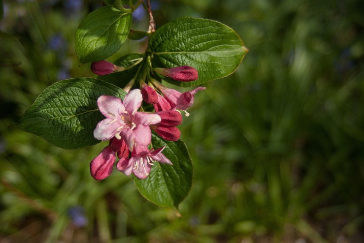 34473734546_ae57984796_c