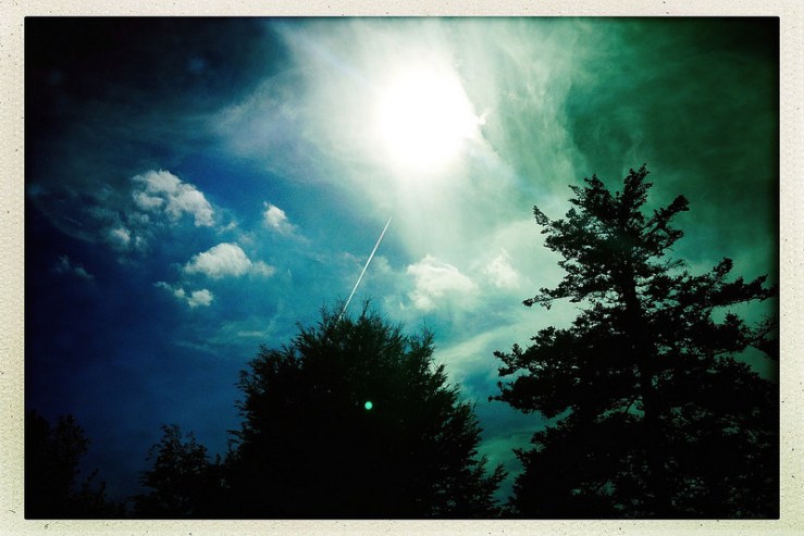 35507916022_f0a3ab5062_c1