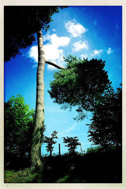 35507917052_25e2d2122e_z