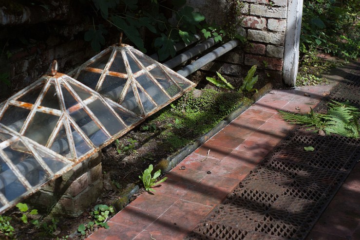 35922233412_0508661d53_c