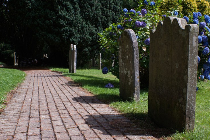 36140468355_13a1d9a937_c