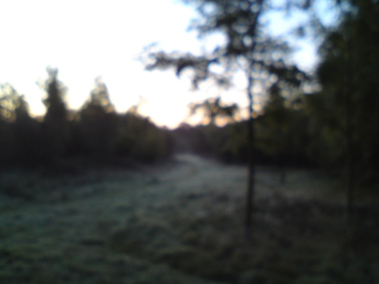 5254188054_196ecefe0d_b