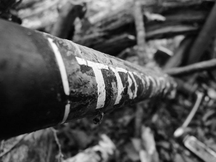 6817313031_5d1b248ab9_b