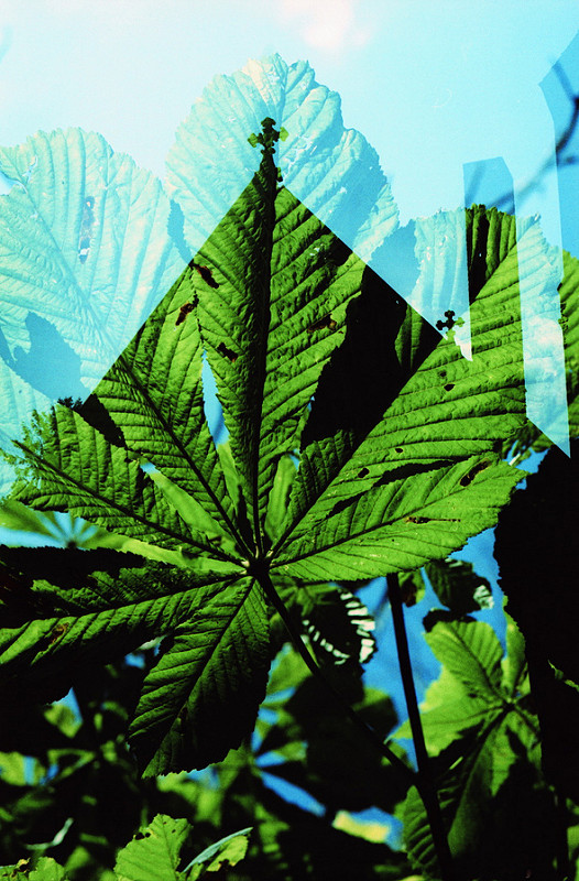 9653018538_2a353988c3_c