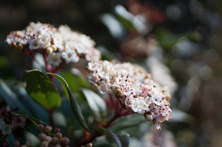 16743182790_75ca987d76_c