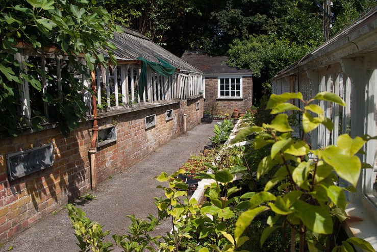 35640388053_7d45070375_c