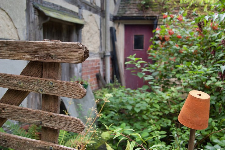 35690885354_2860e5daaf_c