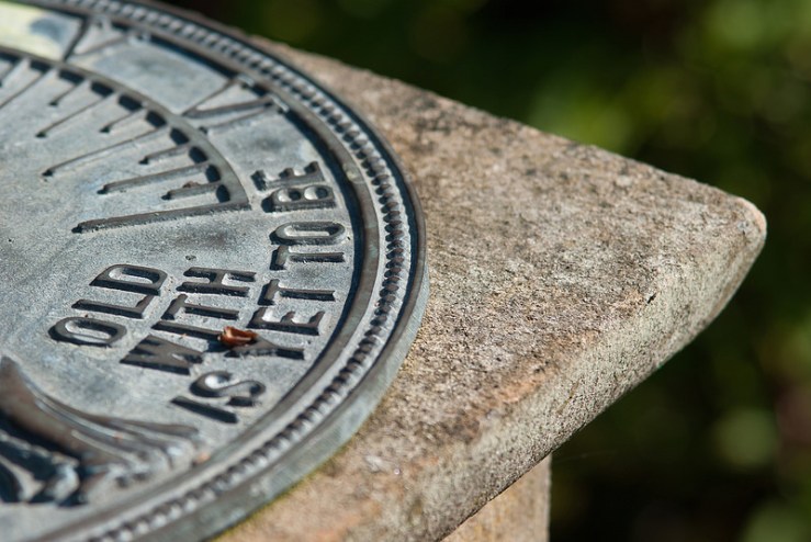 36337731272_68d210b2ae_c