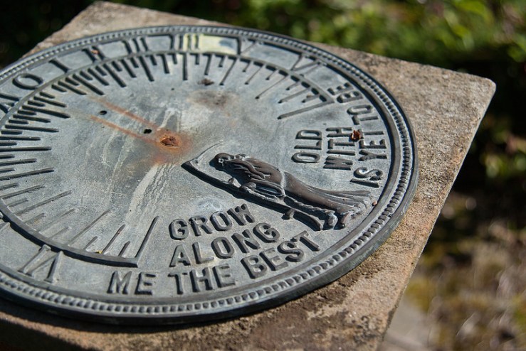 36506074365_f01bb31a02_c