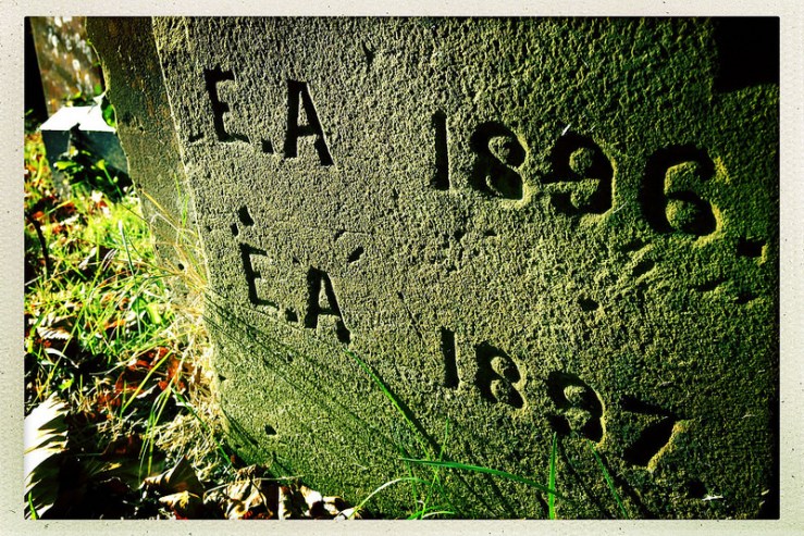 33074271062_fa47178988_c