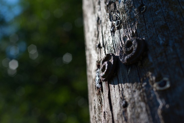 36400843332_7345b53fa7_c