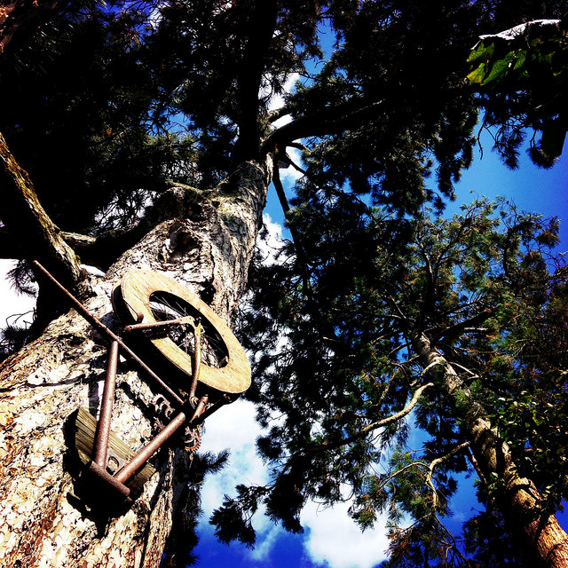 36990432872_b4e80ccd1f_z