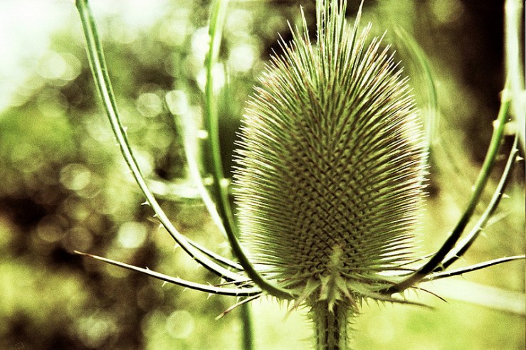 7655775260_933afc474f_c