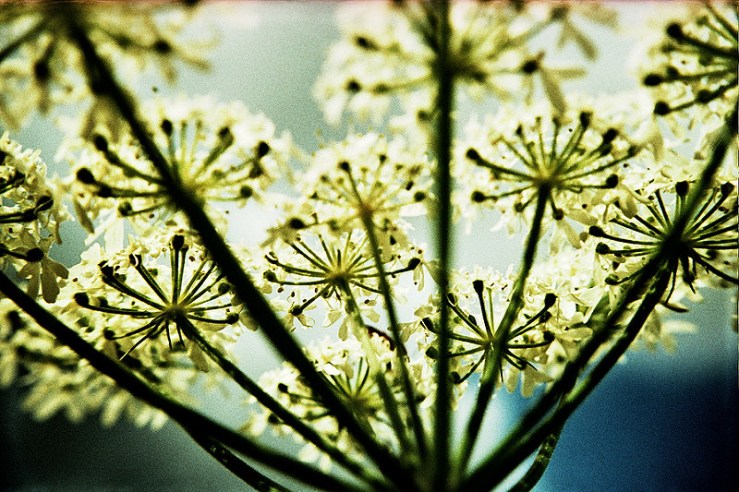 7655777756_1bae09b1a8_c