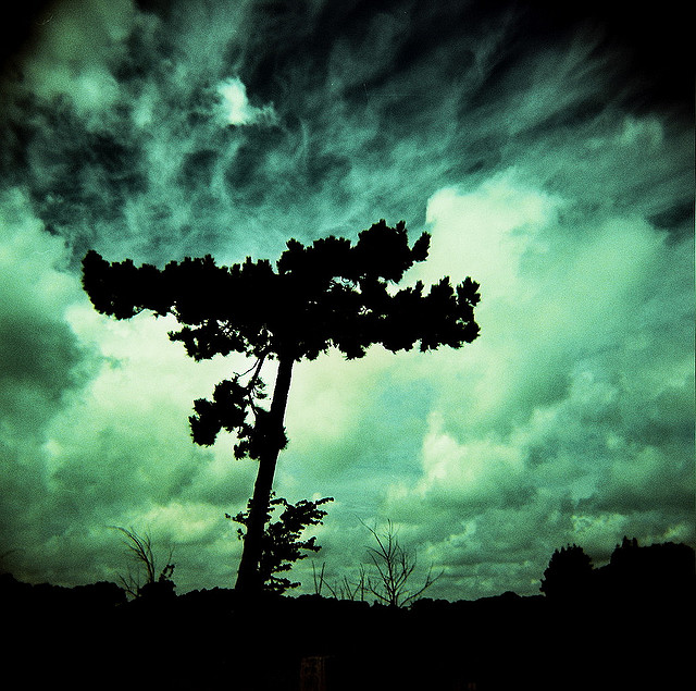 7795779128_ac0d0a5eff_z