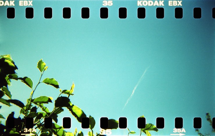 8038664609_2dcc1e41a3_c