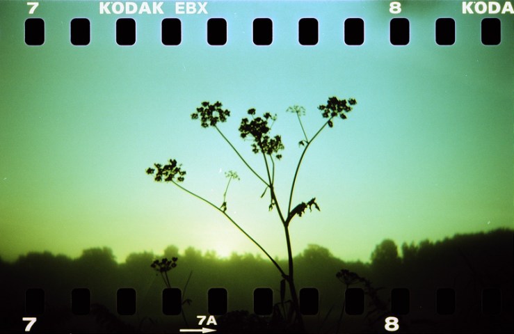 8038670730_4741672f99_c